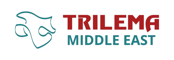 Trilema Middle-East